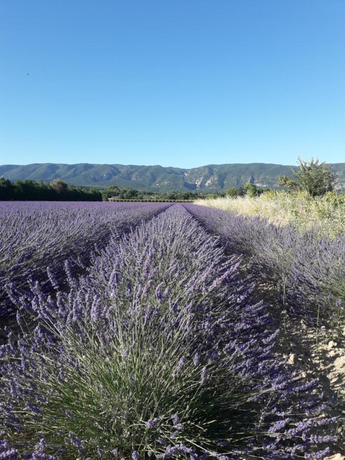 Gite Le Bagnol Un Coin De Paradis Maubec  Exterior foto
