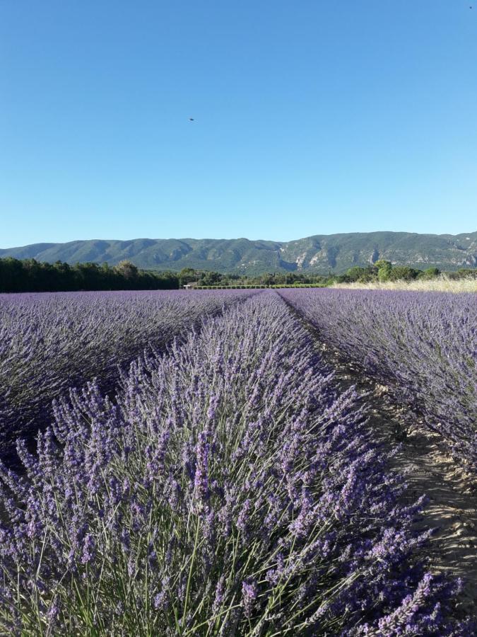 Gite Le Bagnol Un Coin De Paradis Maubec  Exterior foto