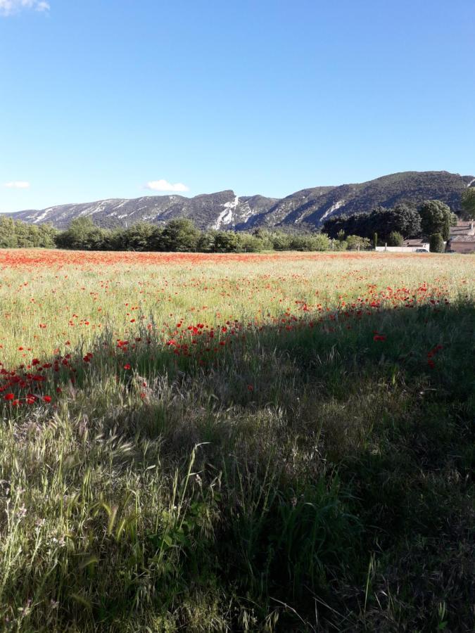 Gite Le Bagnol Un Coin De Paradis Maubec  Exterior foto