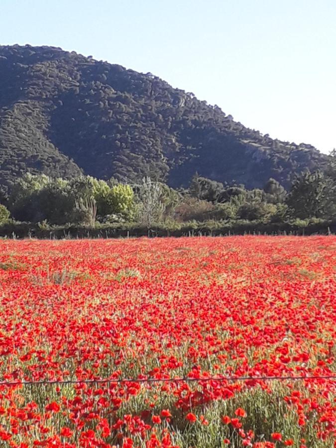 Gite Le Bagnol Un Coin De Paradis Maubec  Exterior foto