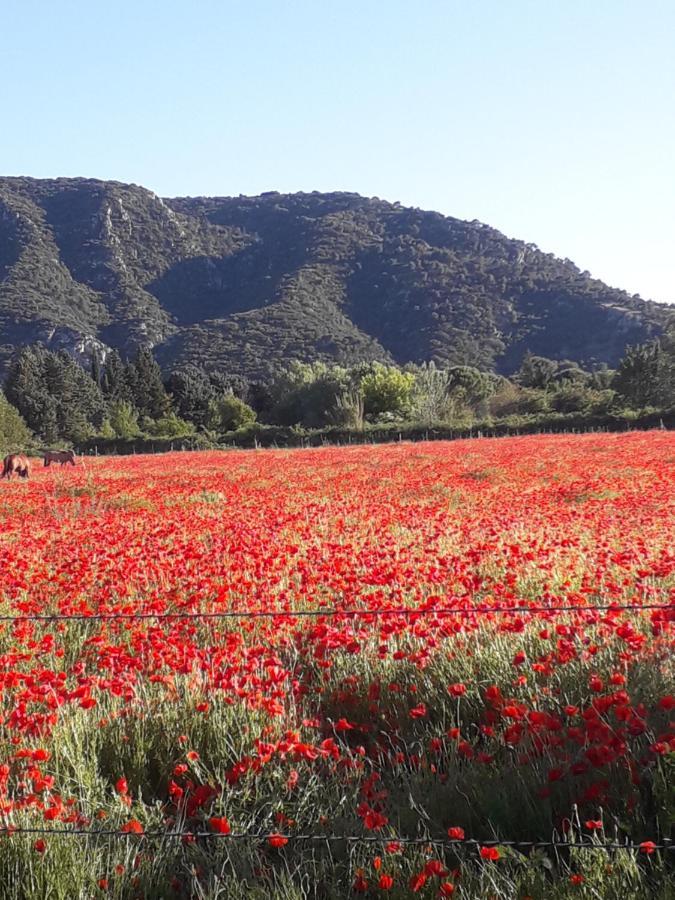 Gite Le Bagnol Un Coin De Paradis Maubec  Exterior foto